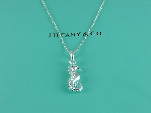 tiffany Necklace-319